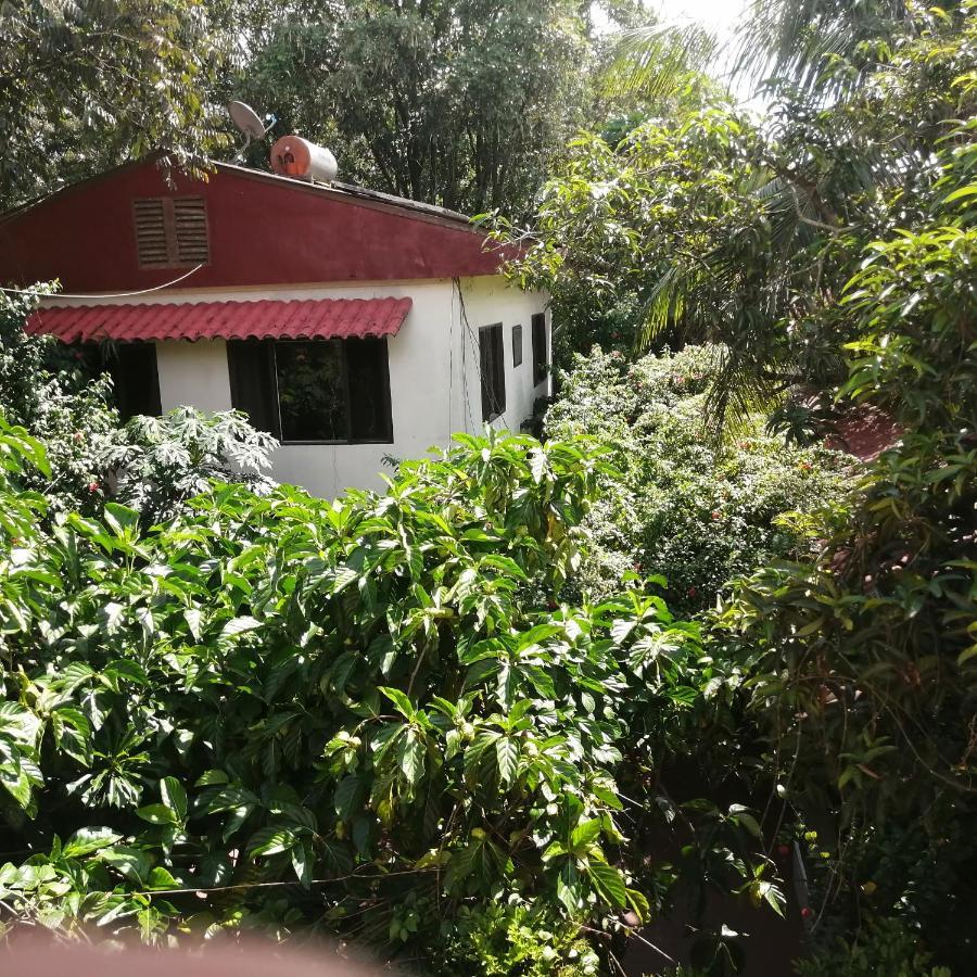 מלון איקיטוס La Casa Fitzcarraldo מראה חיצוני תמונה