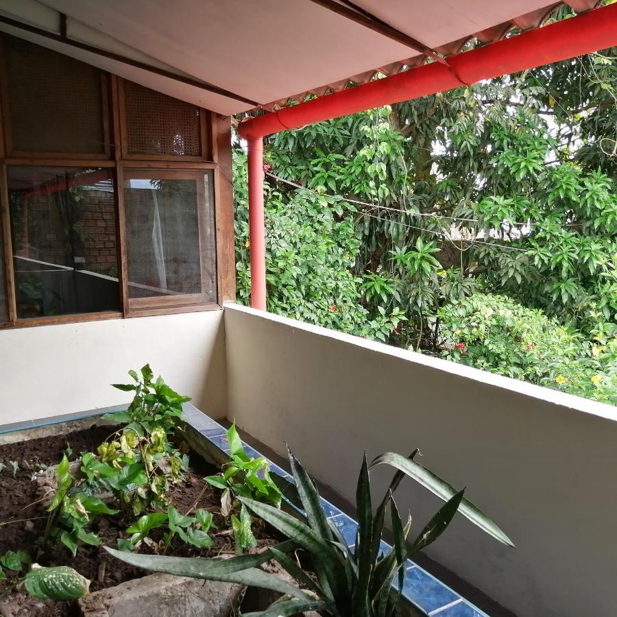 מלון איקיטוס La Casa Fitzcarraldo מראה חיצוני תמונה