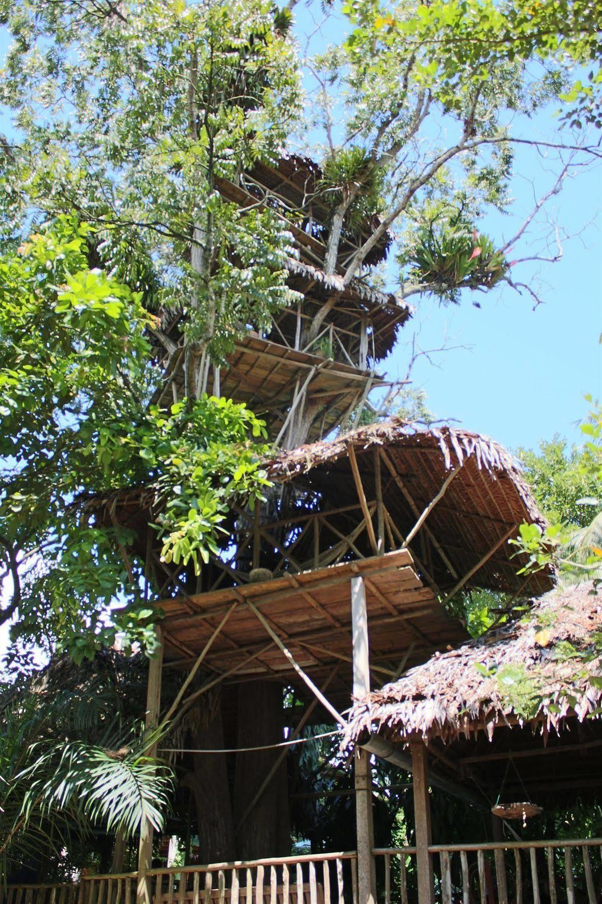 מלון איקיטוס La Casa Fitzcarraldo מראה חיצוני תמונה